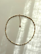 COLLIER ARAVIS