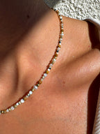 COLLIER ARAVIS